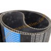 STD 2600 8M Beltplus Zaman Kayışı