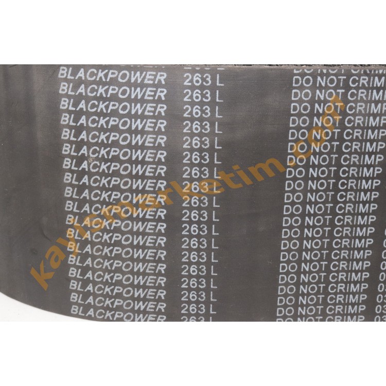 263 L Blackpower Zaman Kayışı